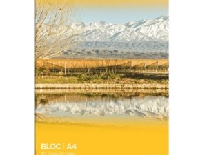 Block Avon A4 Rayado