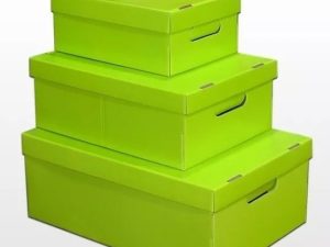 Caja de archivo multiuso mediana